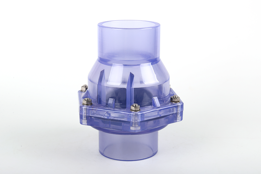 连云港透明翻板式止回阀